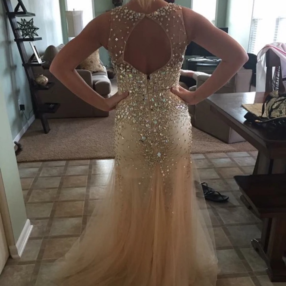 Prom Dress - Picture 3 of 5